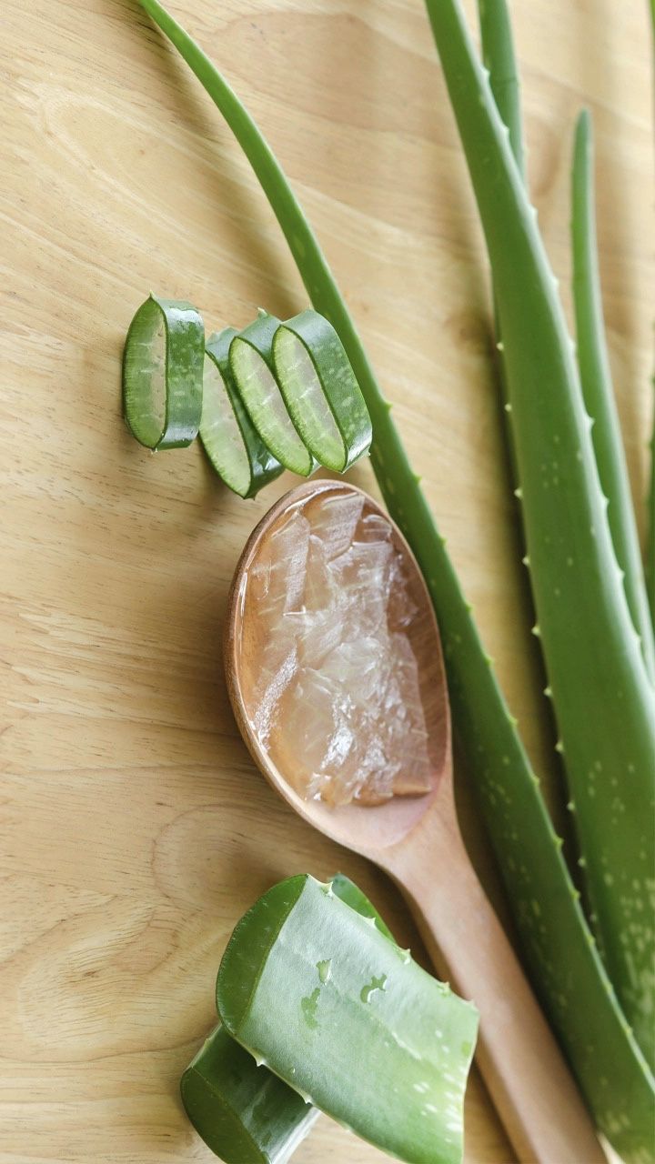 Amla And Aloe Vera for Hair