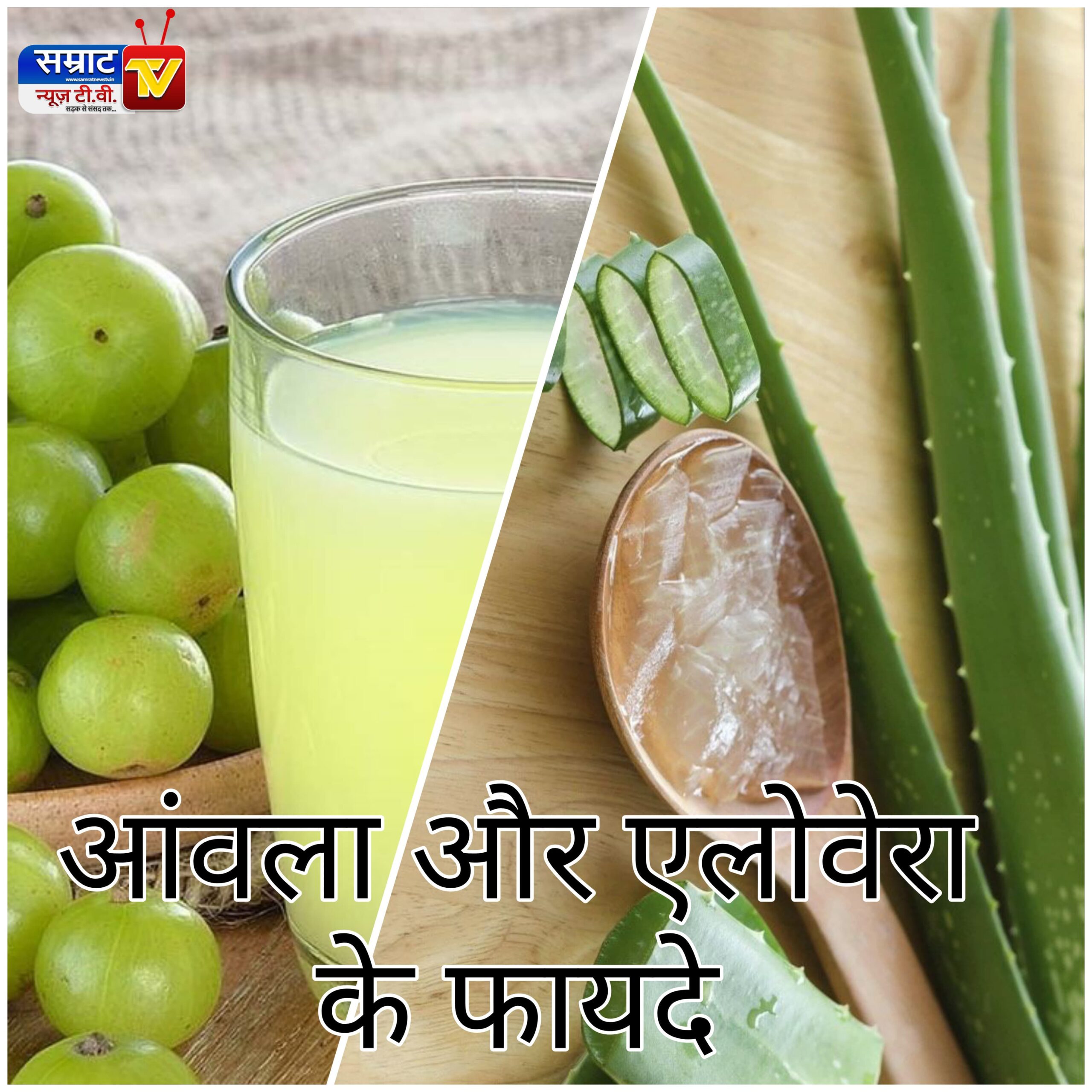 Amla And Aloe Vera for Hair