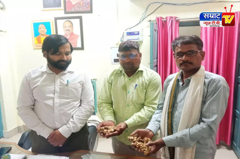 Jhansi News: बरुआसागर की अदरख को मिलेगी नई पहचान, GI टैग के लिए हुआ आवेदन, लखनऊ में होगी जांच