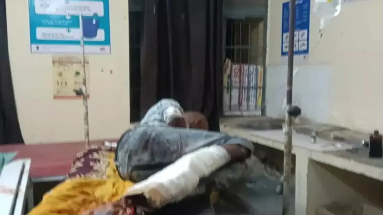 Man loses his leg while saving cow's life from railway track