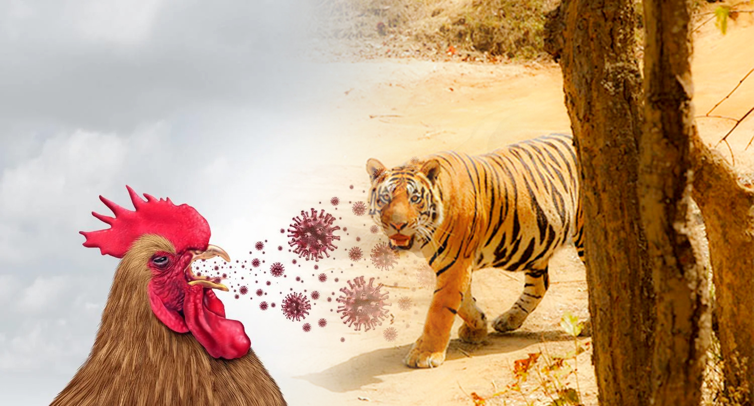 All zoos in Uttar Pradesh will be closed till May 20