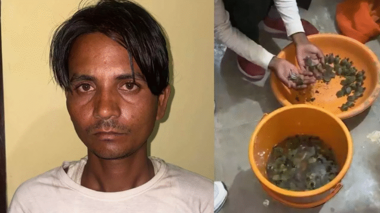 A cunning smuggler arrested with 102 live turtles