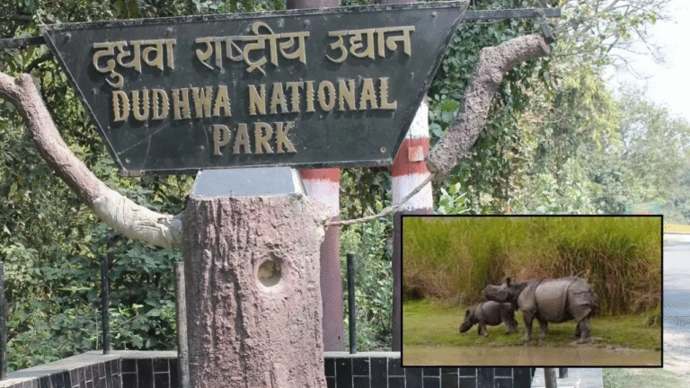Two new Rhino Rehabilitation Centres