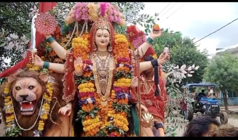 Hamirpur News : मां दुर्गा की प्रतिमाओं का भव्य विसर्जन, पुलिस अधीक्षक ने लिया सुरक्षा व्यवस्था का जायज़ा