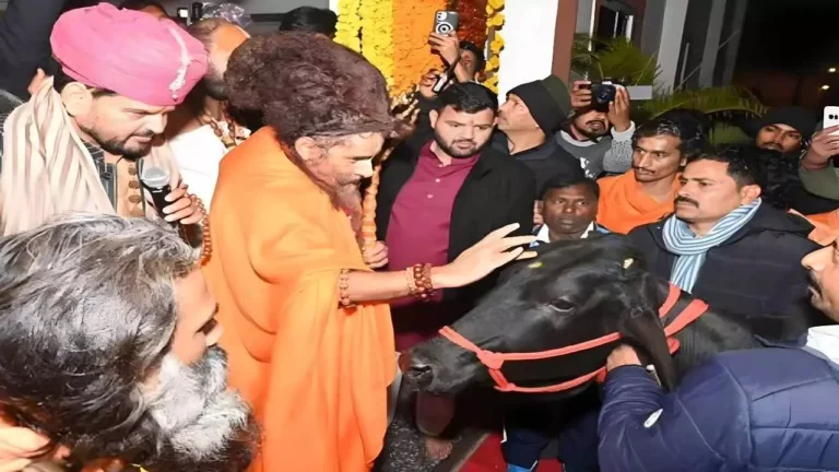 ऋतेश्वर महाराज को बृजभूषण शरण सिंह का दुर्लभ उपहार, राष्ट्रकथा महोत्सव में दिखा भक्ति और मनोरंजन का अनोखा संगम