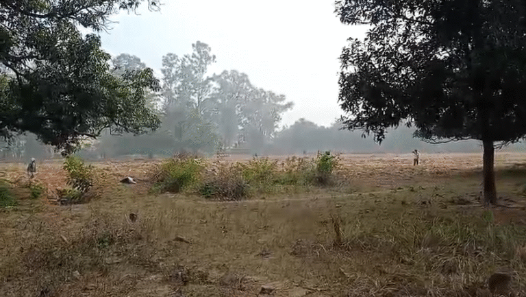 Sitapur News: शत्रु संपत्ति की जमीन पर वर्षों से खेती, कार्रवाई से बचता दिख रहा राजस्व विभाग