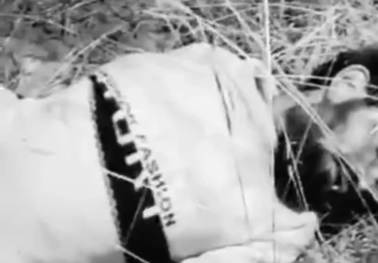 Jalaun News: बुंदेलखंड एक्सप्रेसवे पर भीषण हादसा, बाइक सवार राजमिस्त्री और साथी की मौत