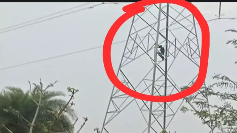 Jalaun News: प्रेम विवाह की जिद में युवक हाईटेंशन टावर पर चढ़ा, पुलिस ने सुरक्षित नीचे उतारा