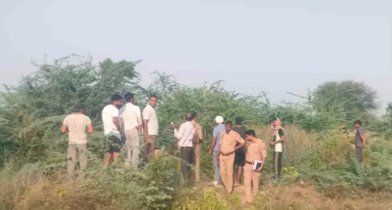 Mathura News: मथुरा में नीलगाय पर फायरिंग; घायल अवस्था में मिली, हमलावर बाइक छोड़कर फरार