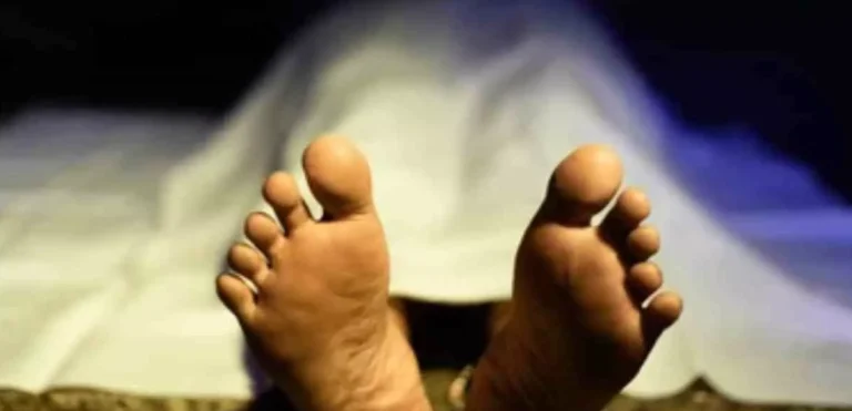 Chandauli News: सड़क हादसे में पिता-पुत्र की मौत, अज्ञात वाहन की तलाश में जुटी पुलिस