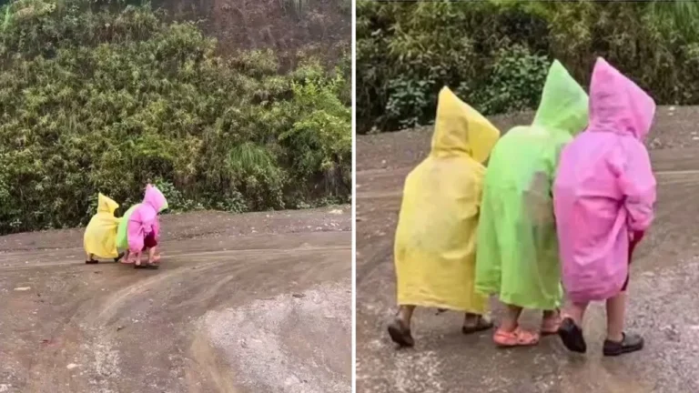 Cute Nepal school children viral video in raincoats
