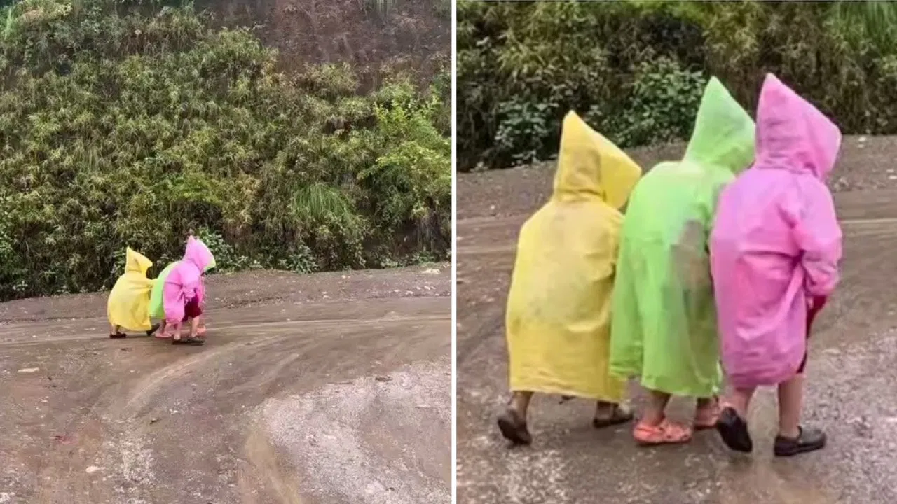 Cute Nepal school children viral video in raincoats