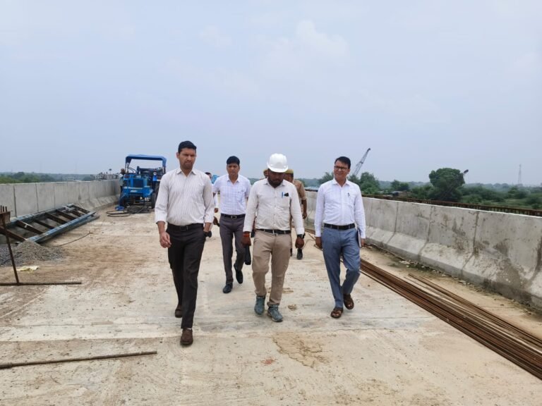 Hamirpur News: बेतवा नदी पर निर्माणाधीन सेतु का जिलाधिकारी ने किया औचक निरीक्षण, कार्य में ढिलाई पर अधिकारियों को फटकार